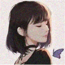 读者白露未晞的头像